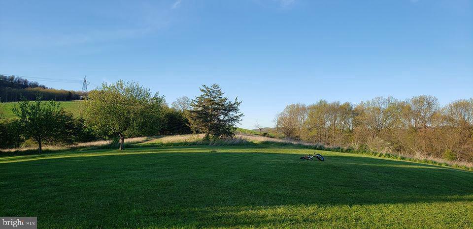 4038 Mount Olive Property Photo 75