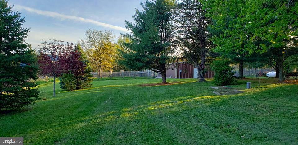 4038 Mount Olive Property Photo 78