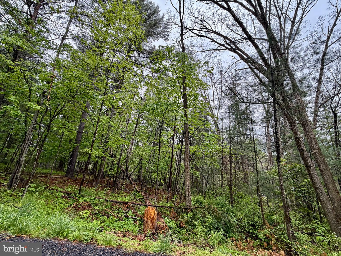 Lots 1 & 2 Trout Run Road Property Photo 2