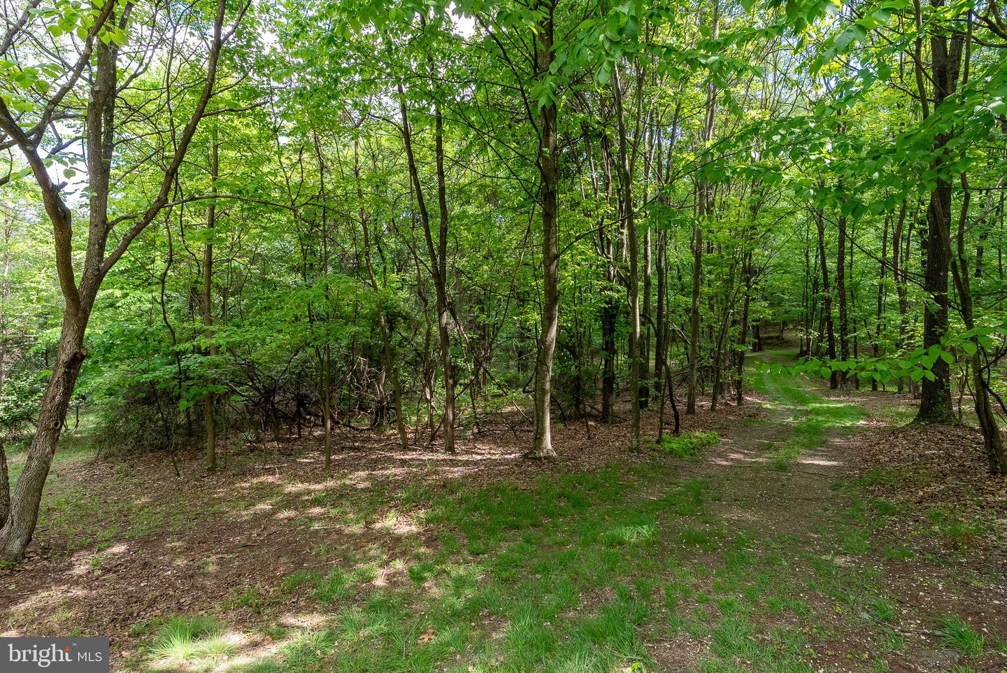 2598 Mountain View Rd Property Photo 73