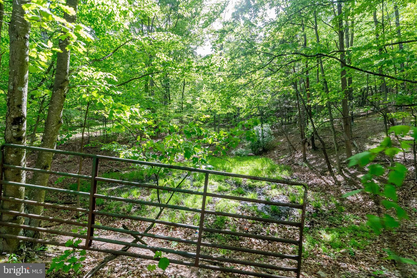 2598 Mountain View Rd Property Photo 74