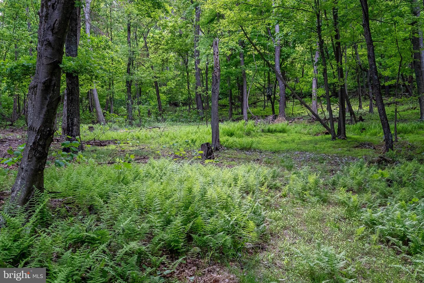 2598 Mountain View Rd Property Photo 77