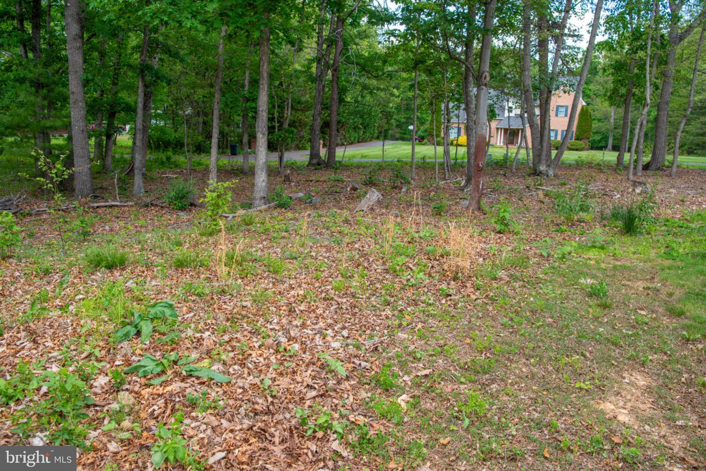 792 Forest Glen Dr Property Photo 131