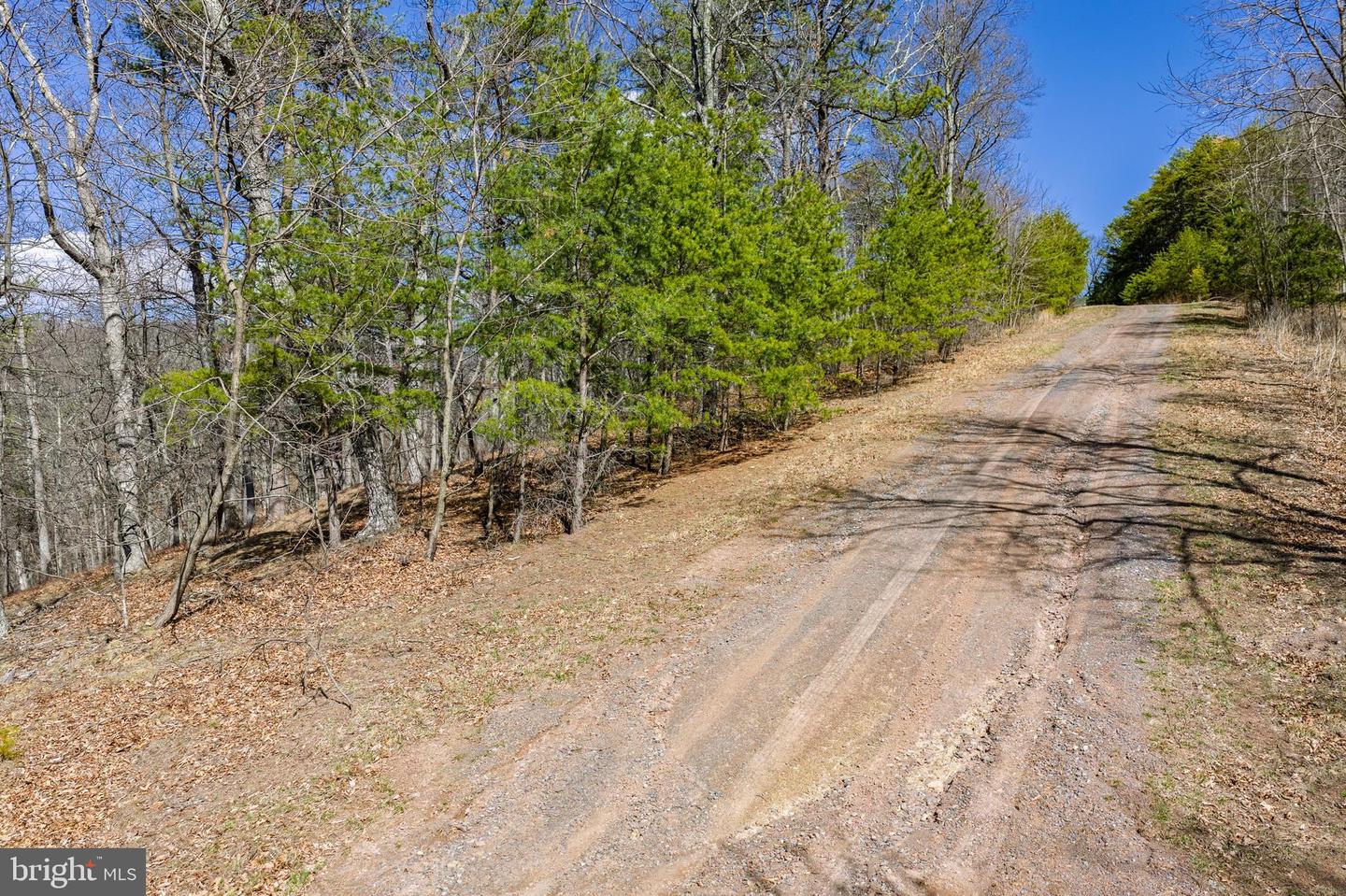 Hunters Ridge Trail Property Photo 12