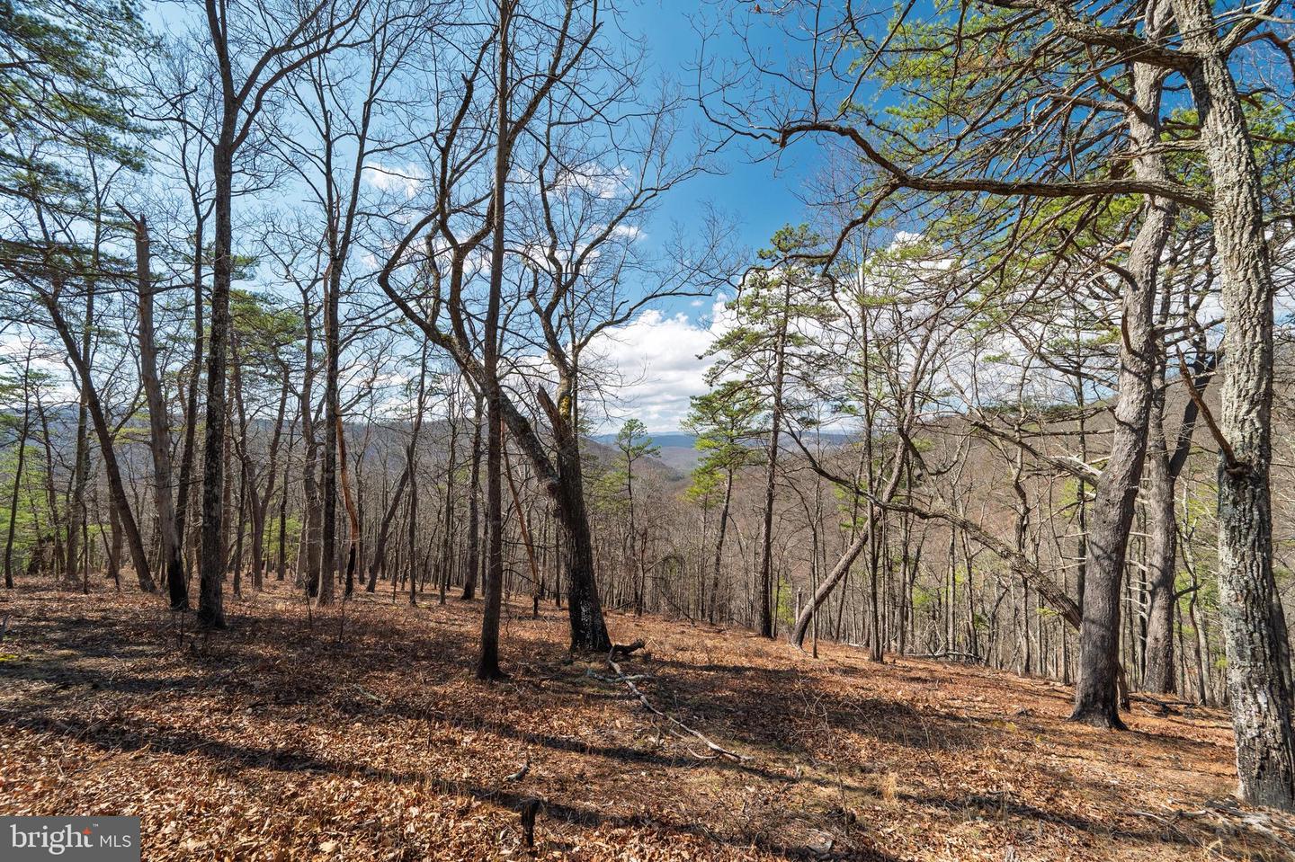 Hunters Ridge Trail Property Photo 14