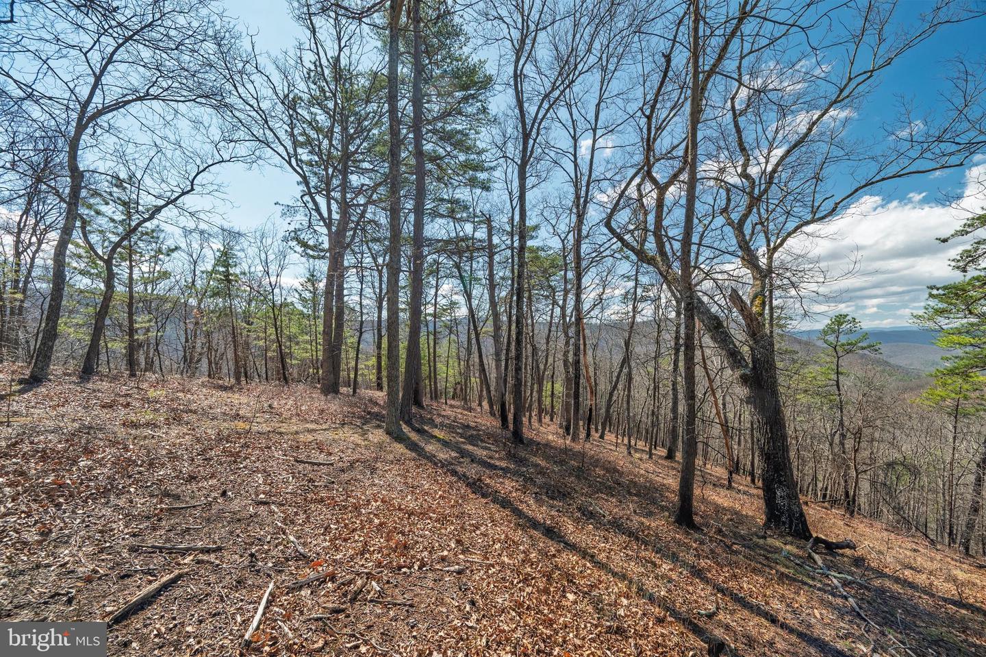 Hunters Ridge Trail Property Photo 15