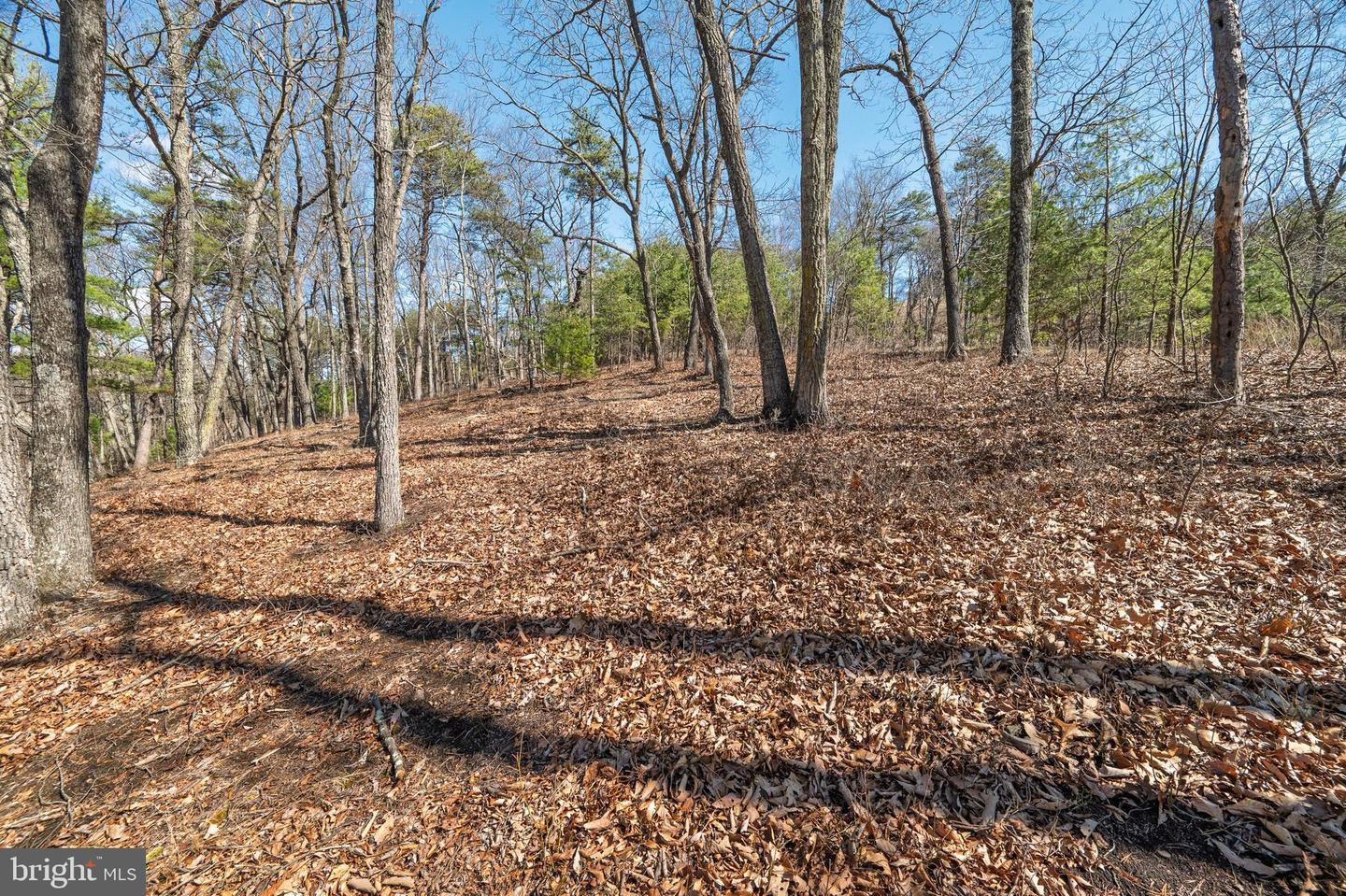 Hunters Ridge Trail Property Photo 16
