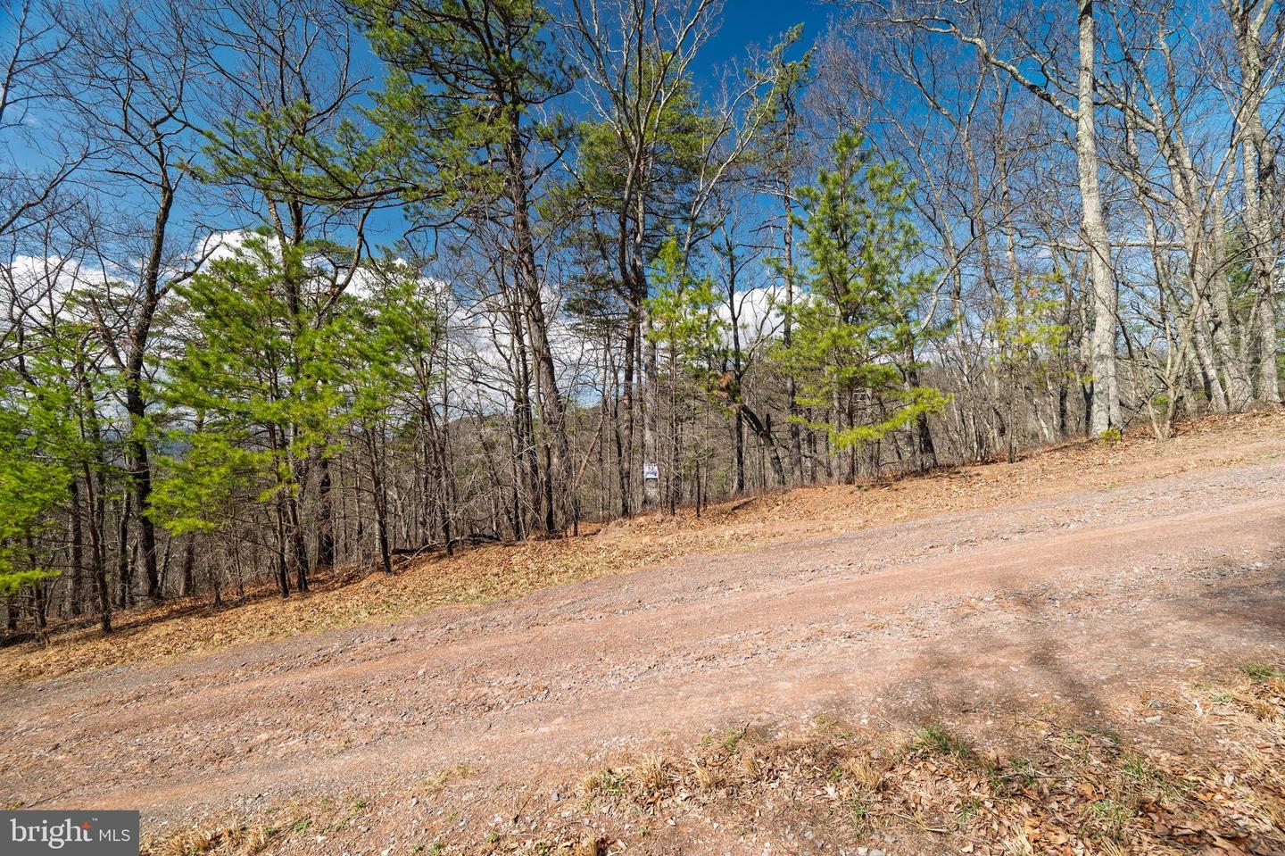 Hunters Ridge Trail Property Photo 18