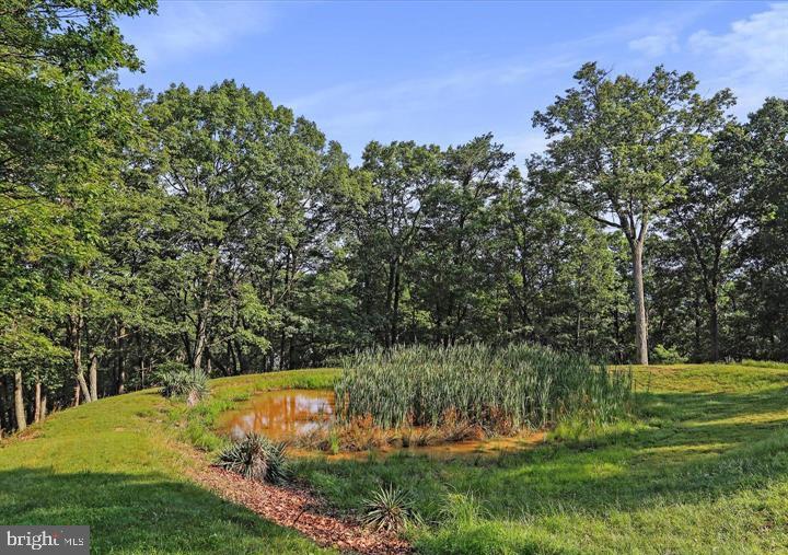 883 White Oak Crossing Rd Property Photo 24