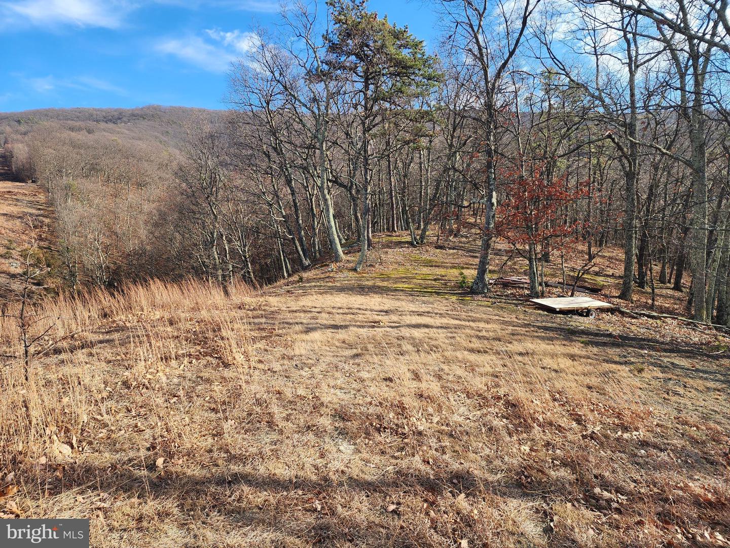 289 Ashton Woods Property Photo 12