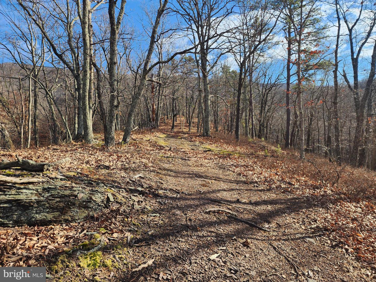 289 Ashton Woods Property Photo 15