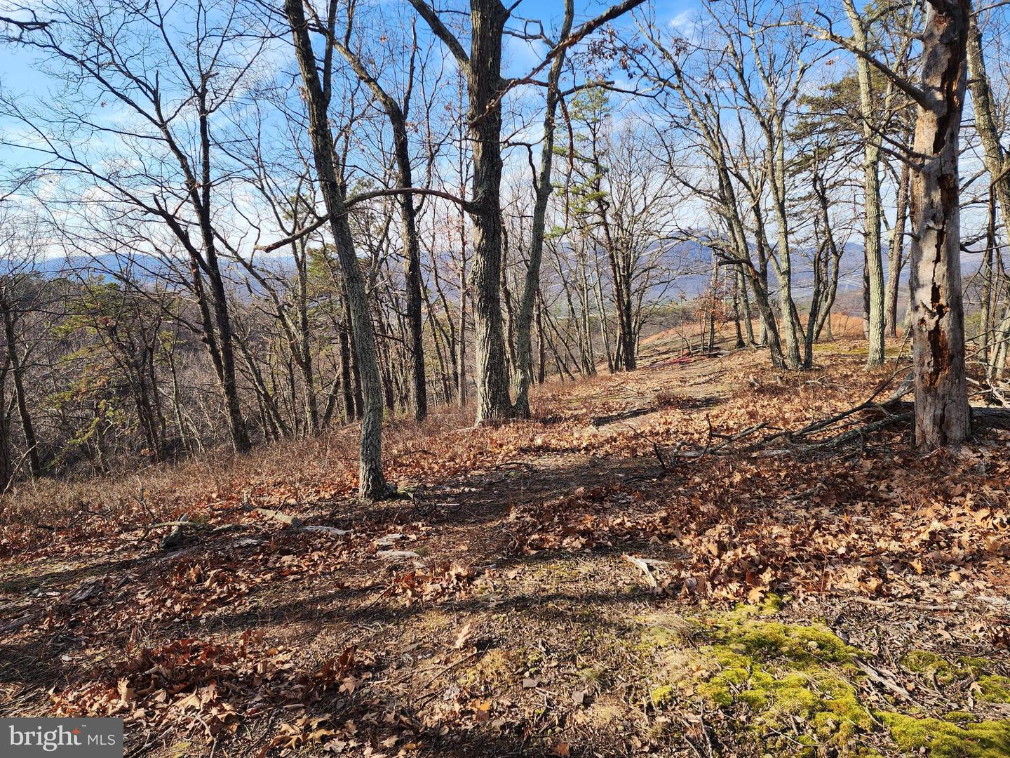 289 Ashton Woods Property Photo 16