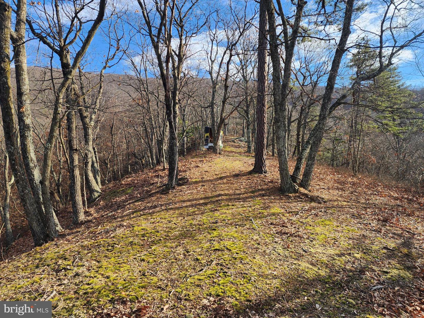 289 Ashton Woods Property Photo 17