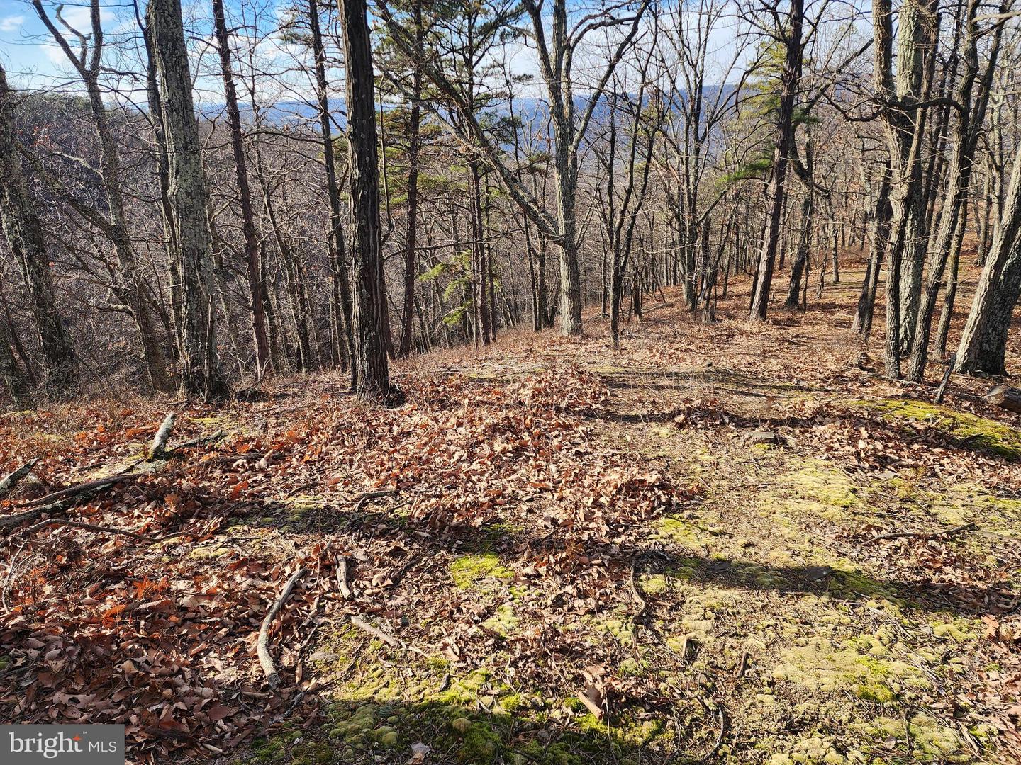 289 Ashton Woods Property Photo 18