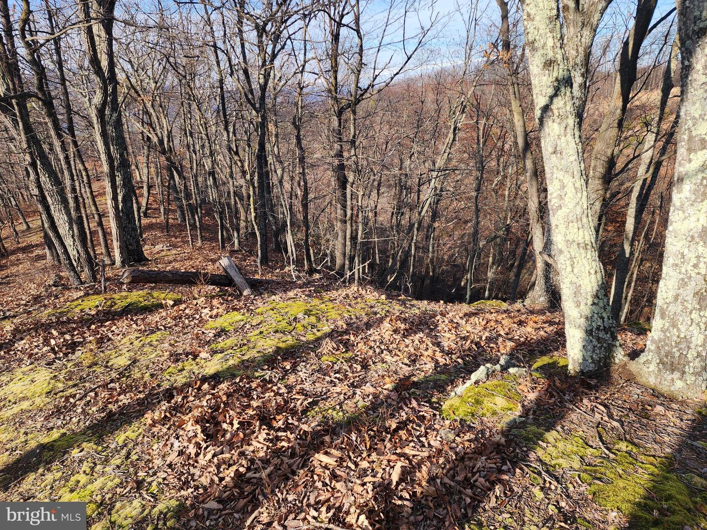 289 Ashton Woods Property Photo 19