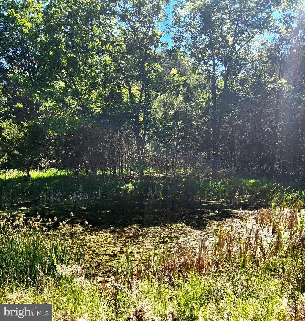 312 Tanager Drive Property Photo 63