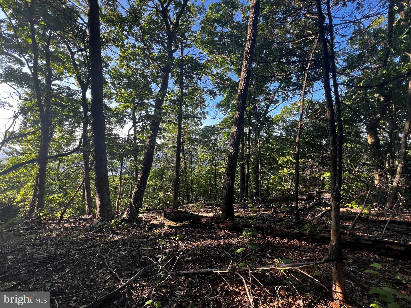 Lot 52 Grace Mountain Property Photo 5