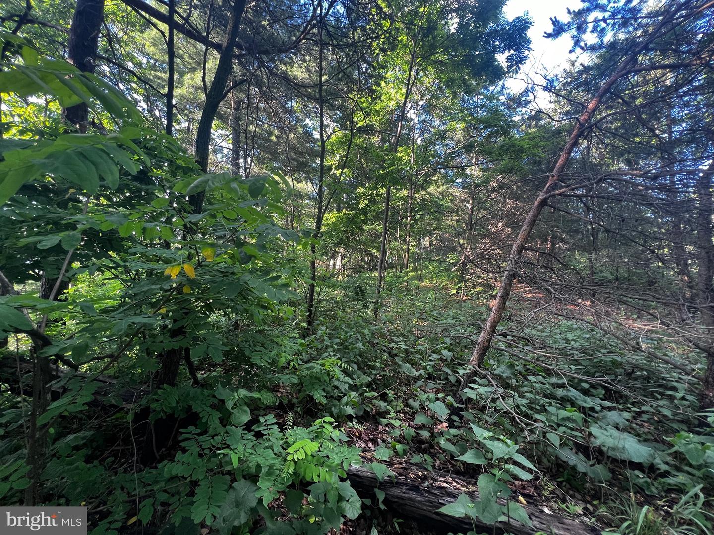 Lot 52 Grace Mountain Property Photo 6