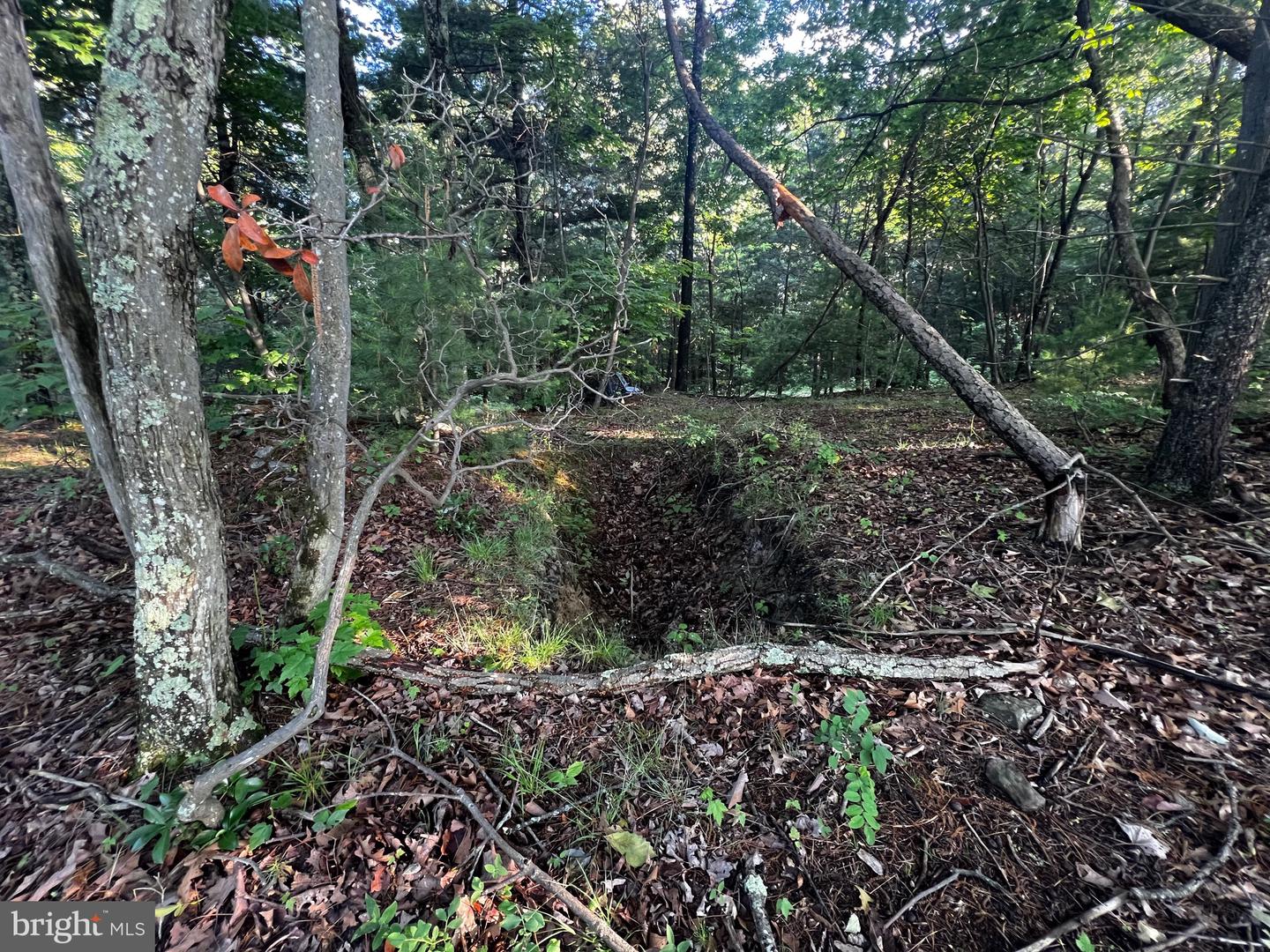 Lot 52 Grace Mountain Property Photo 9