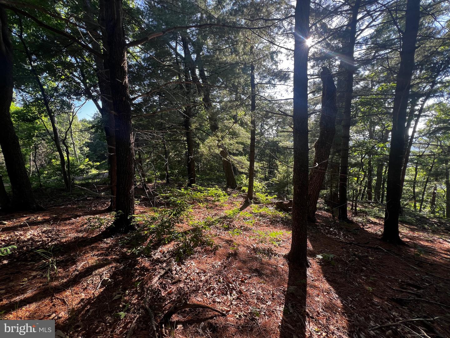 Lot 52 Grace Mountain Property Photo 10