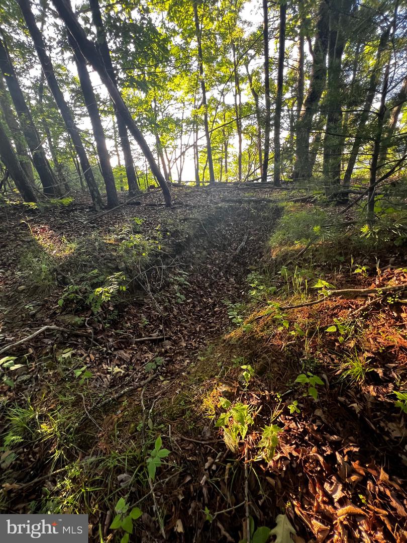 Lot 52 Grace Mountain Property Photo 11