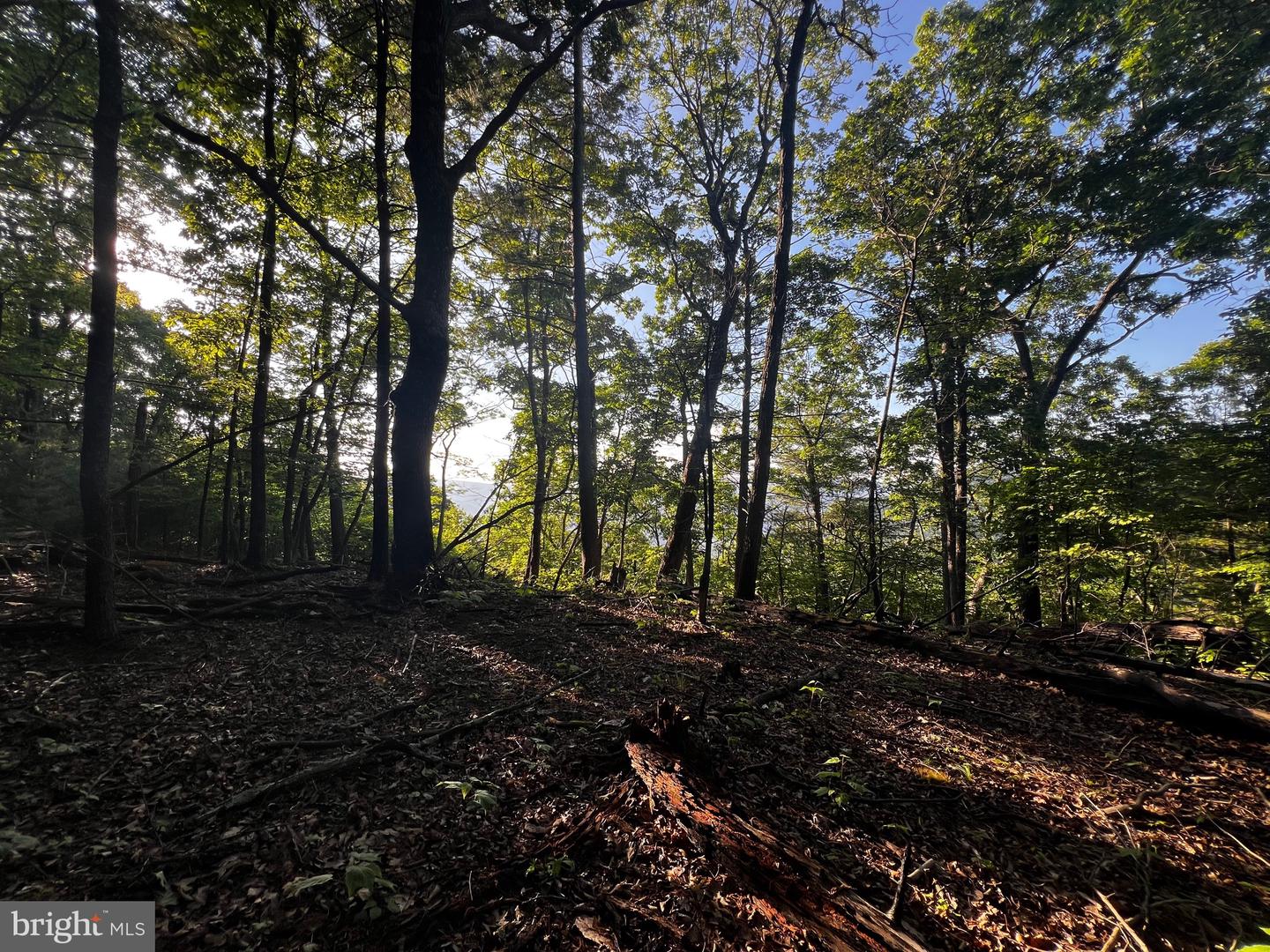 Lot 52 Grace Mountain Property Photo 12