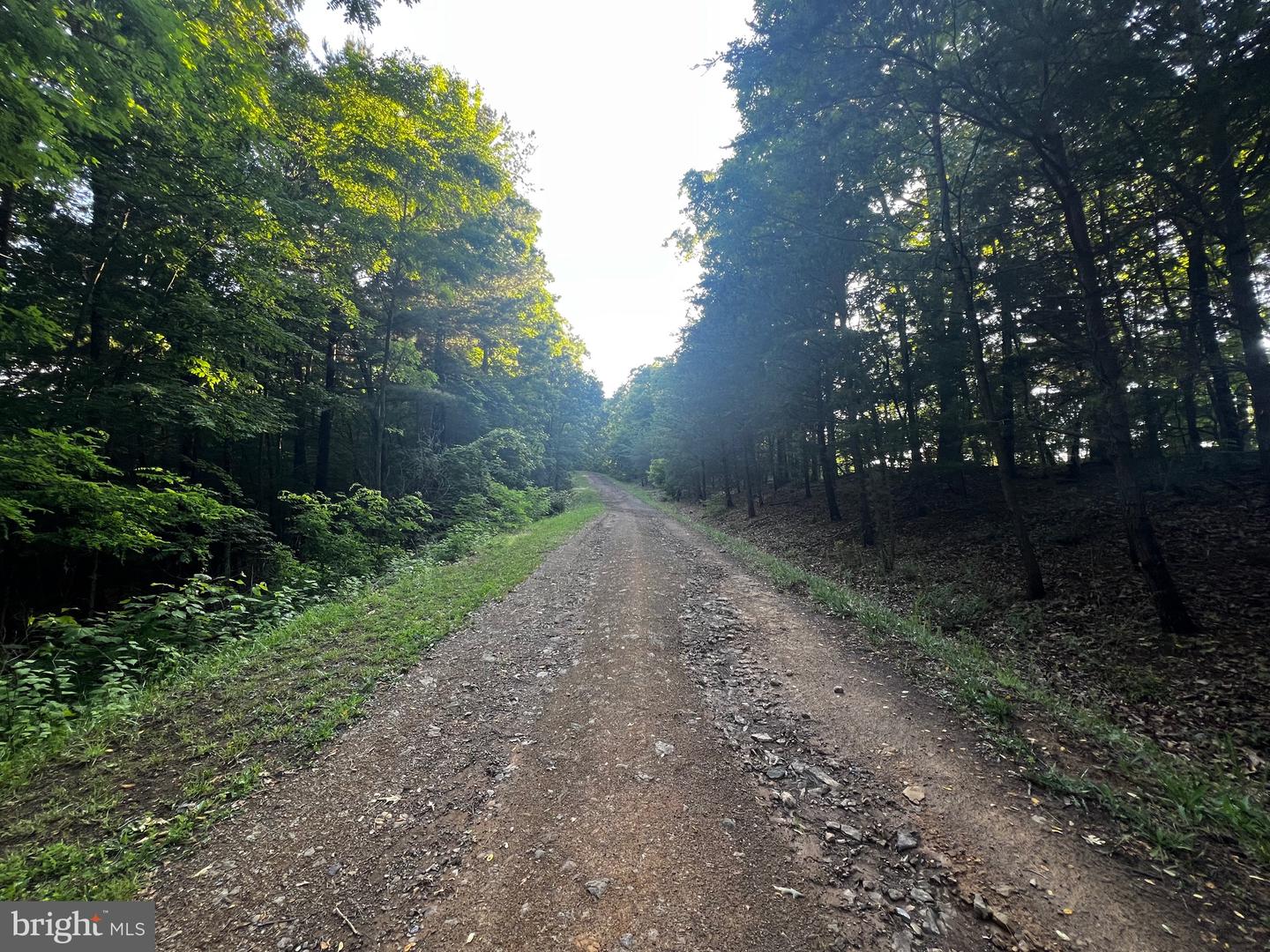 Lot 52 Grace Mountain Property Photo 13