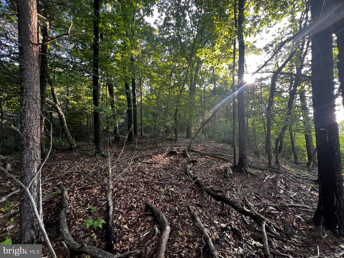 Lot 52 Grace Mountain Property Photo 16