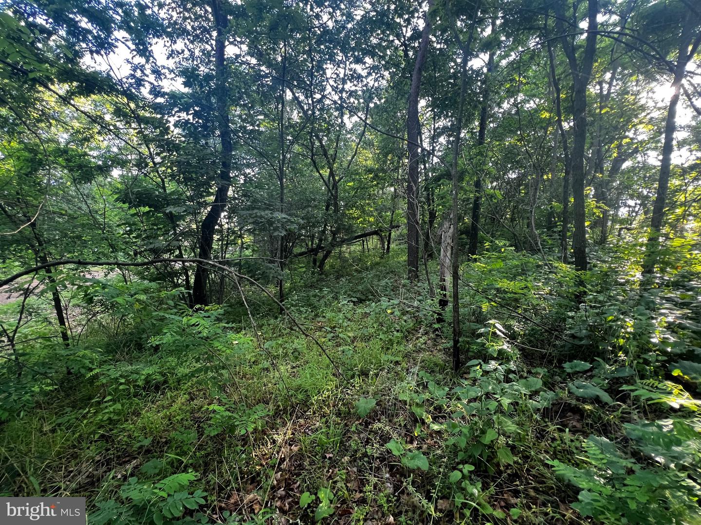 Lot 52 Grace Mountain Property Photo 18