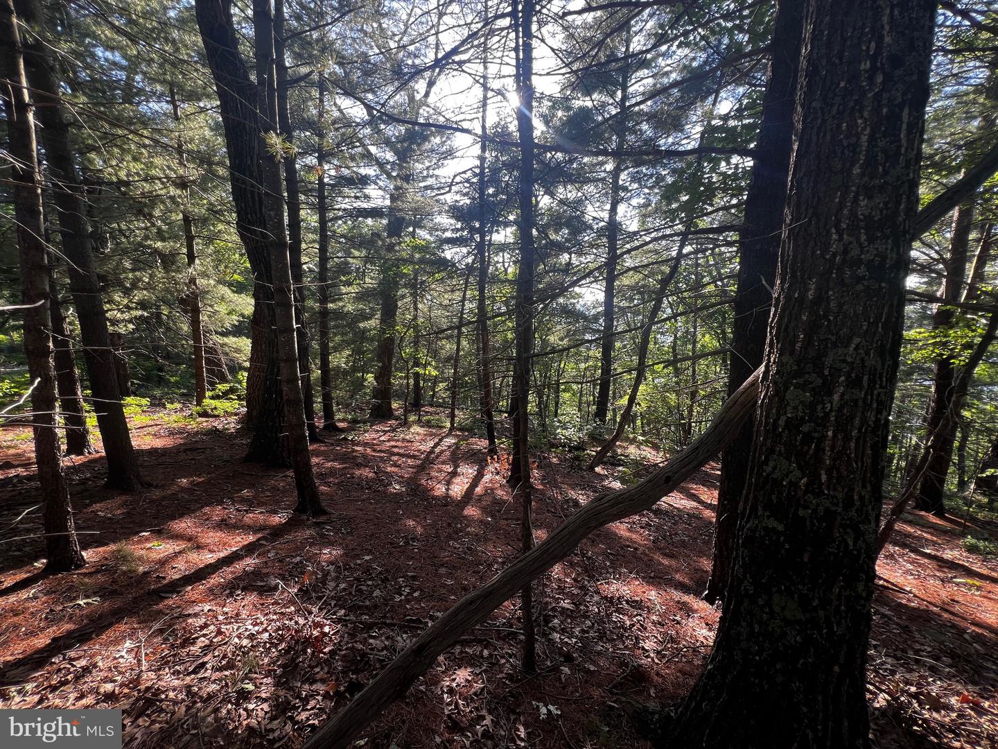 Lot 52 Grace Mountain Property Photo 20