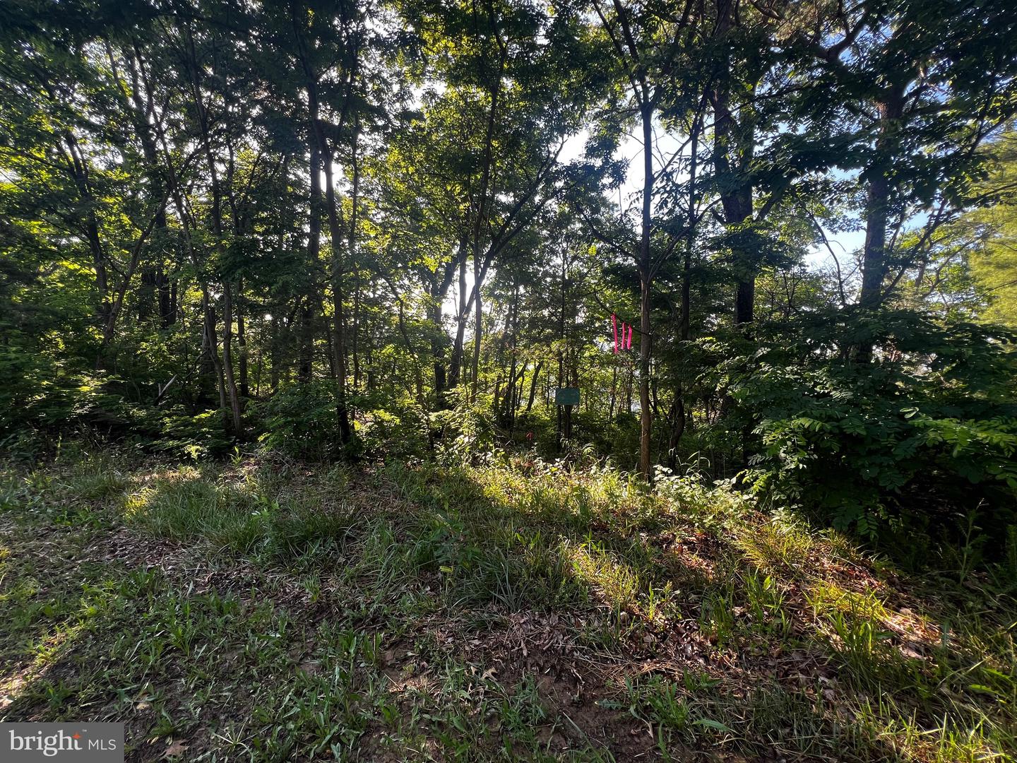 Lot 52 Grace Mountain Property Photo 21