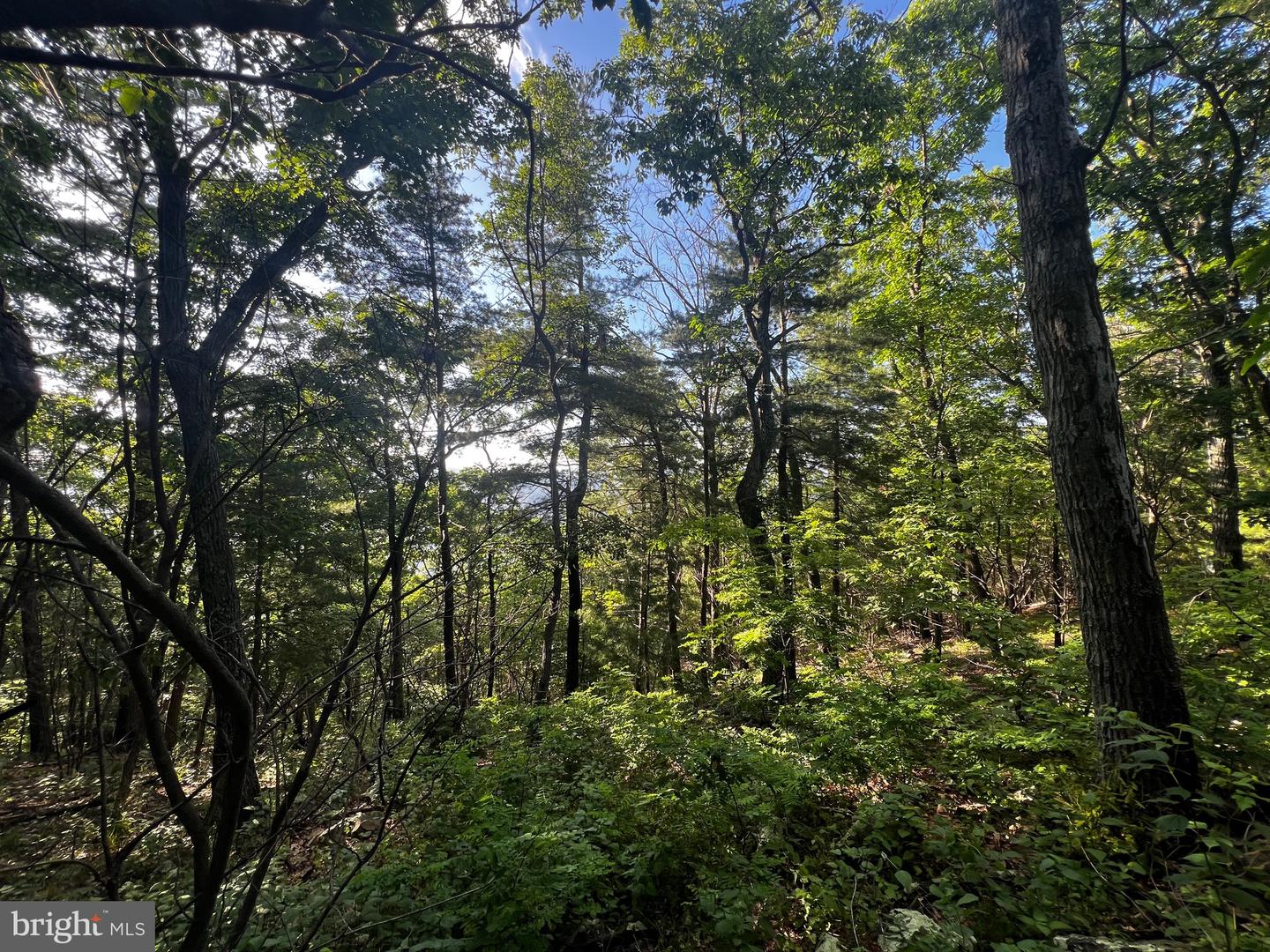 Lot 52 Grace Mountain Property Photo 22