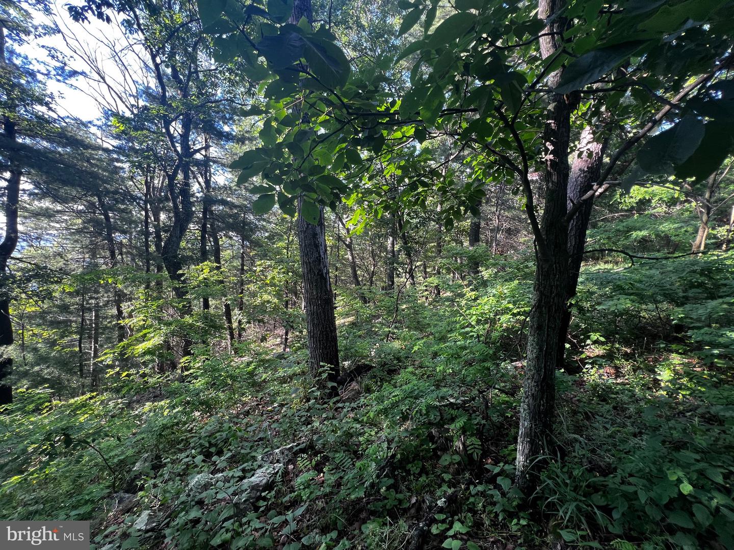 Lot 52 Grace Mountain Property Photo 23