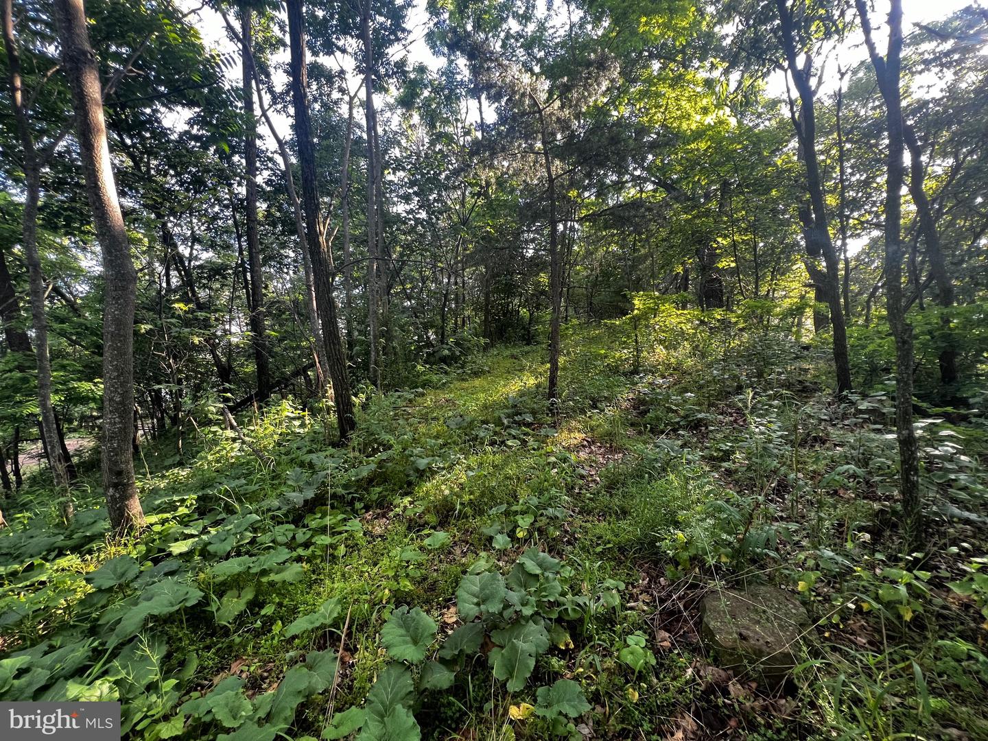 Lot 52 Grace Mountain Property Photo 24