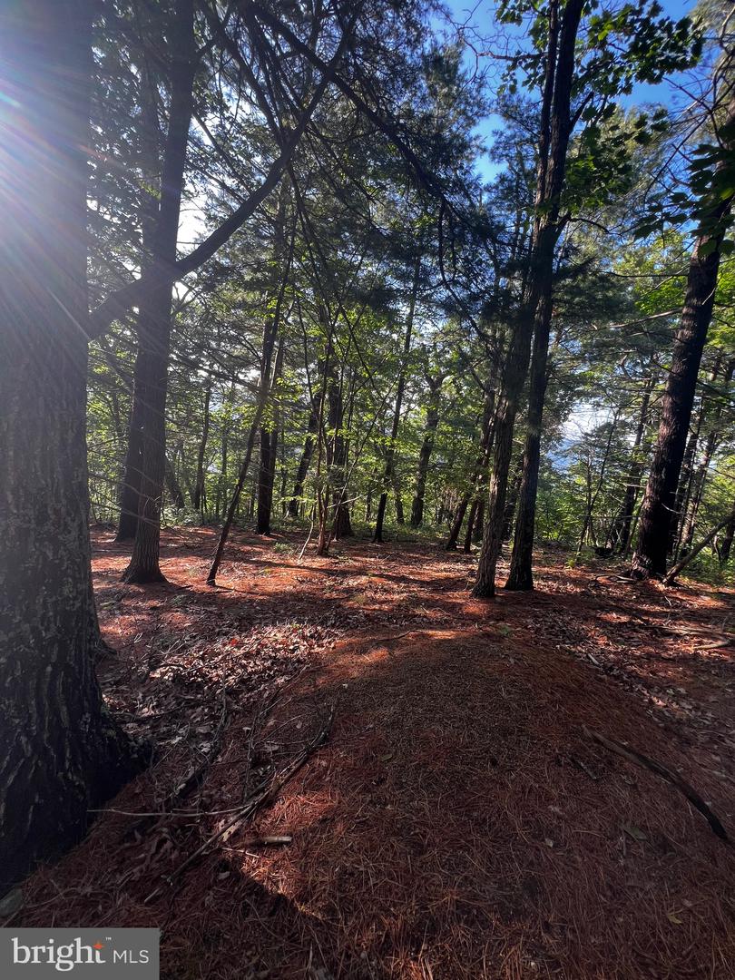 Lot 52 Grace Mountain Property Photo 26