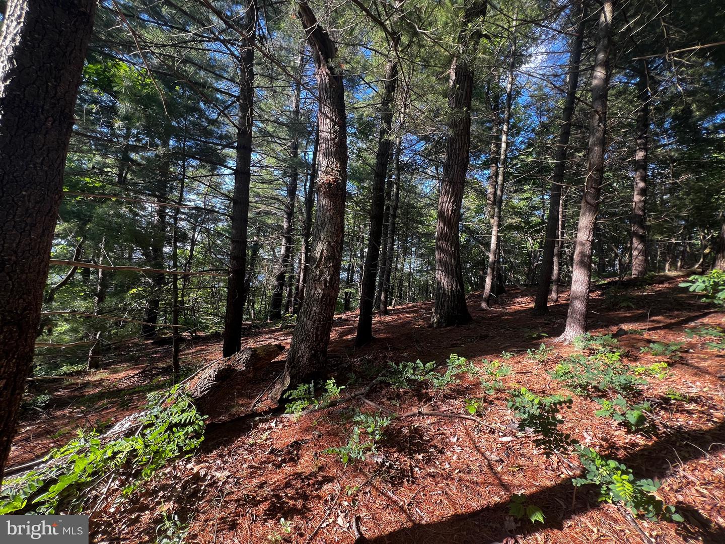 Lot 52 Grace Mountain Property Photo 27