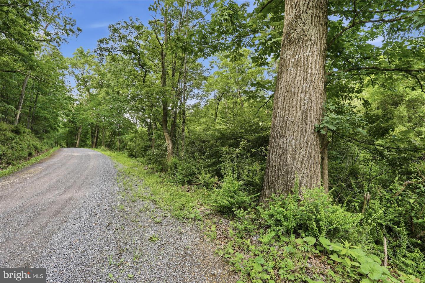 11.95ac Luxemburg Rd Property Photo 4