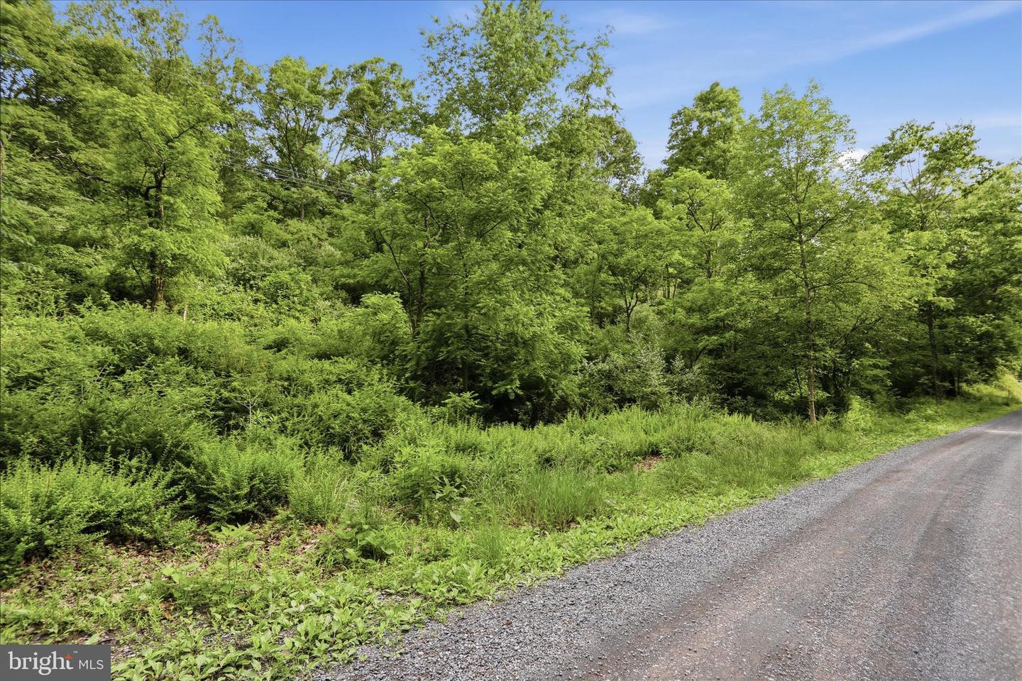 11.95ac Luxemburg Rd Property Photo 5