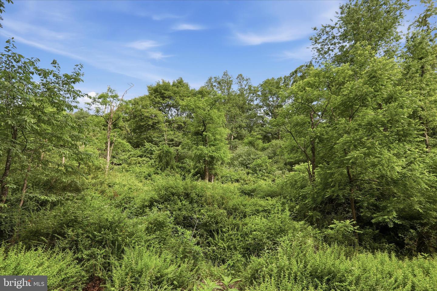 11.95ac Luxemburg Rd Property Photo 6