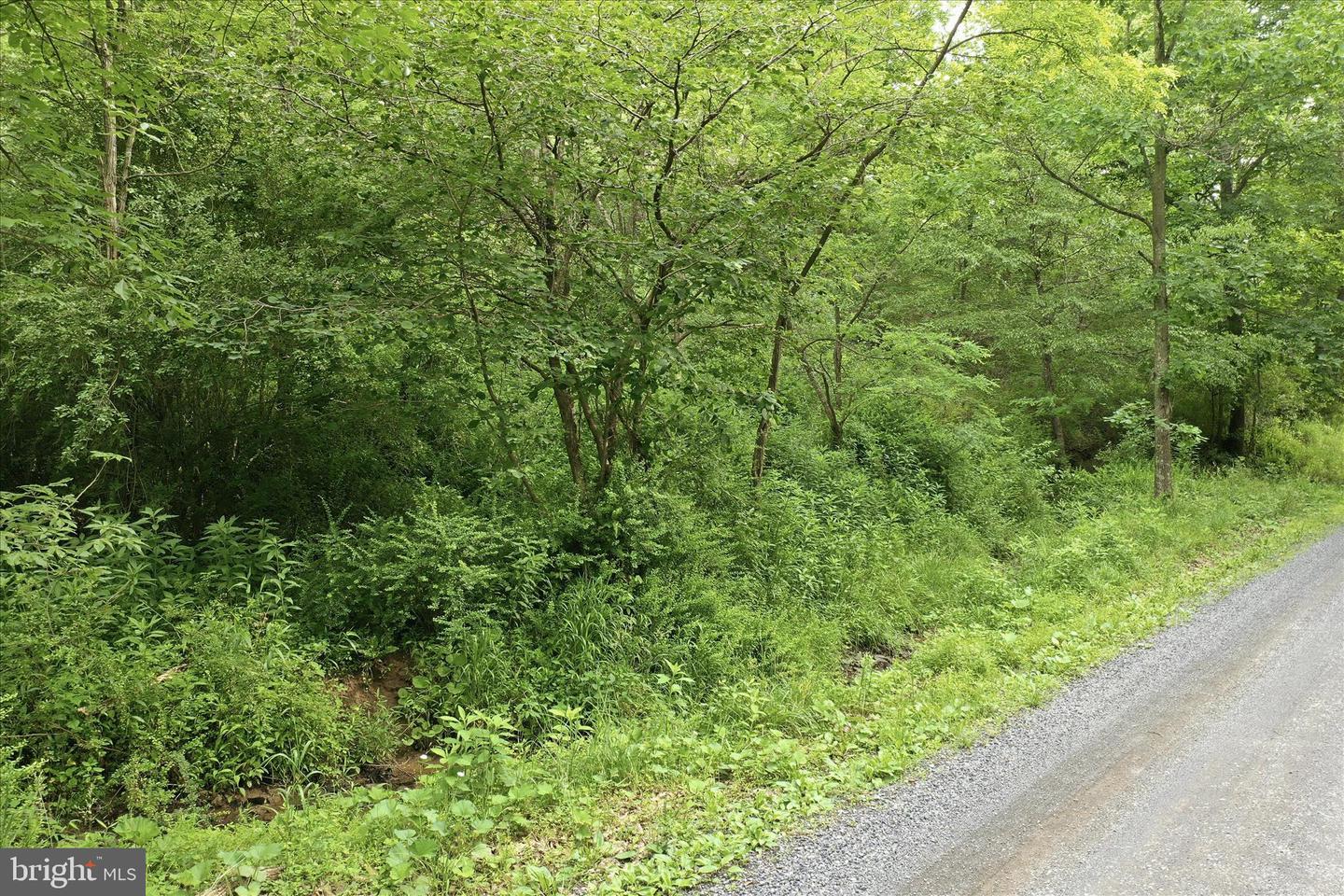 11.95ac Luxemburg Rd Property Photo 8