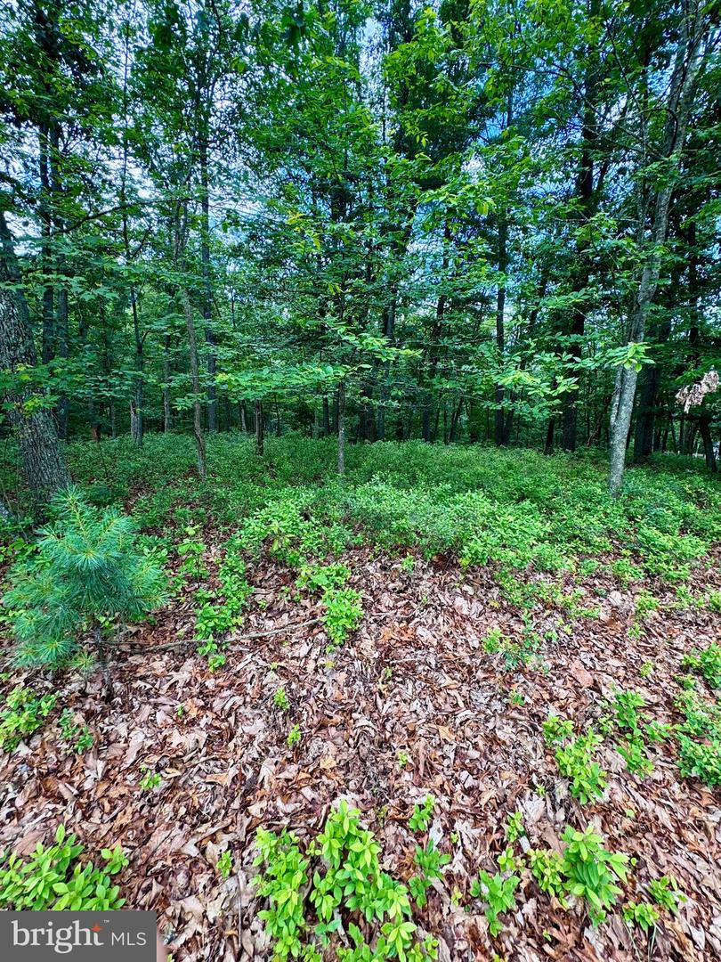 544 Summit Dr Property Photo 16