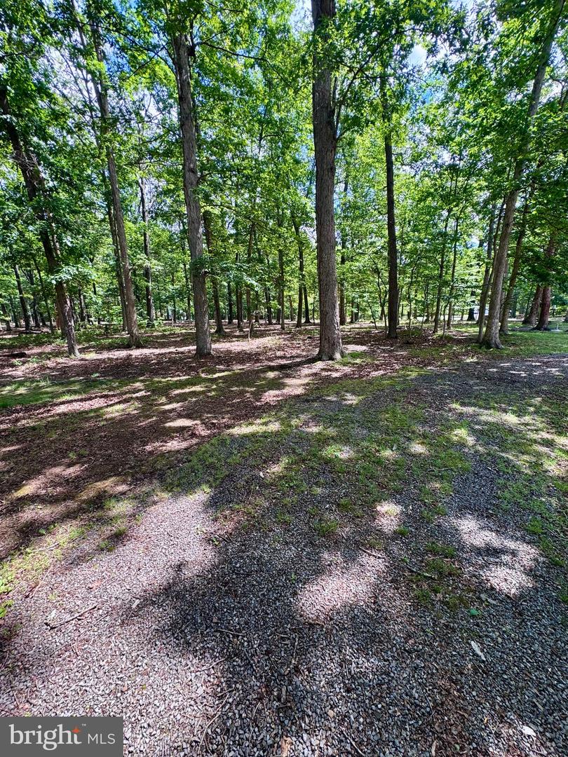 544 Summit Dr Property Photo 33