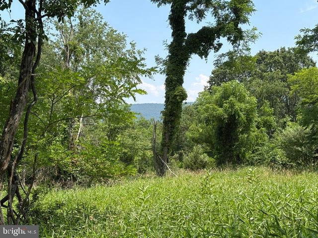 Lot 24a 3.22 Ac Fox Run Property Photo 1