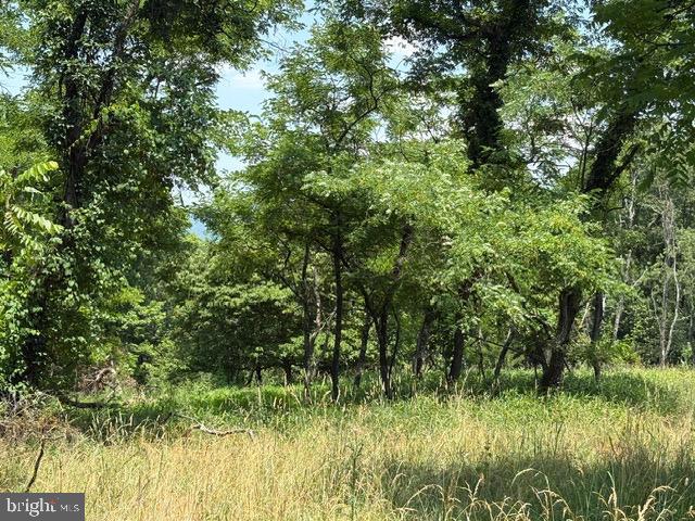Lot 24a 3.22 Ac Fox Run Property Photo 2