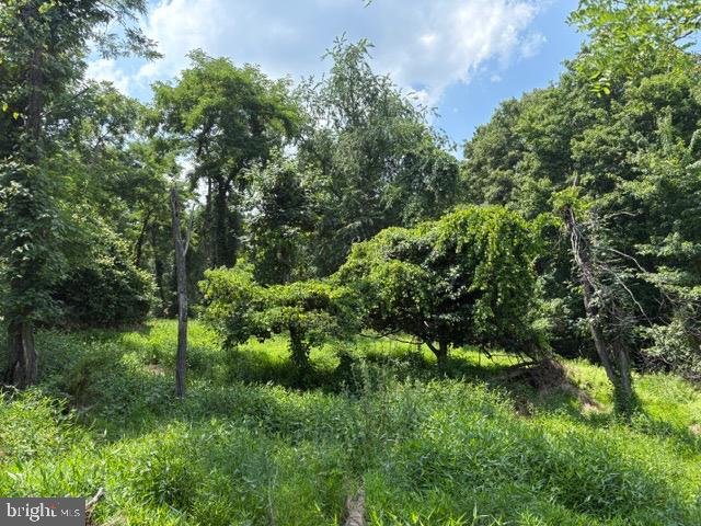 Lot 24a 3.22 Ac Fox Run Property Photo 3