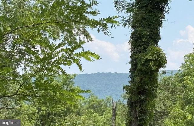 Lot 24a 3.22 Ac Fox Run Property Photo 4