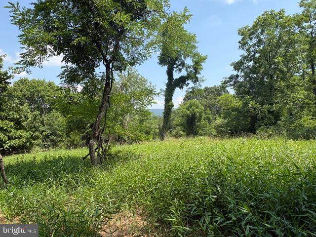 Lot 24a 3.22 Ac Fox Run Property Photo 7