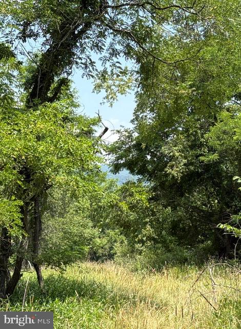 Lot 24a 3.22 Ac Fox Run Property Photo 8