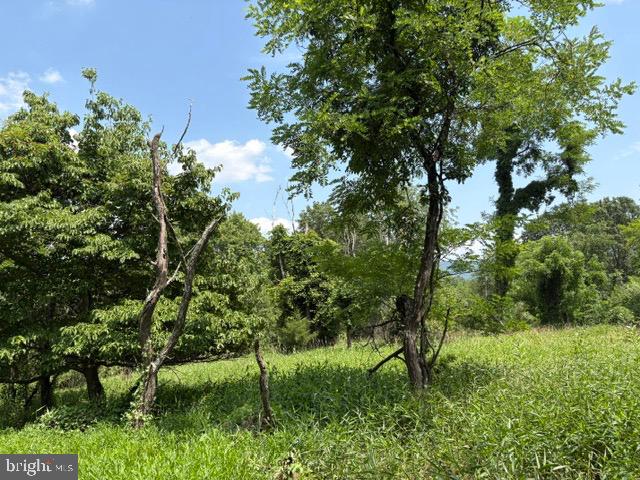 Lot 24a 3.22 Ac Fox Run Property Photo 10