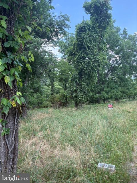 Lot 24a 3.22 Ac Fox Run Property Photo 11